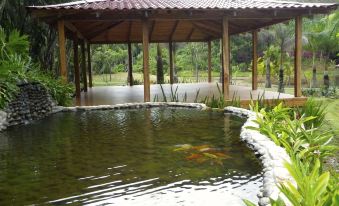 a fish pond with a wooden pavilion and surrounded by lush greenery , creating a serene atmosphere at Macaw Lodge
