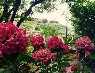 Albergo Umbria Hotel in zona Duomo di Civita Castellana