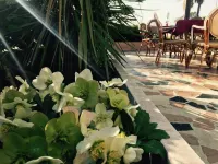 Hotel San Marco - 2-Star