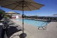 The Vista - Sea View