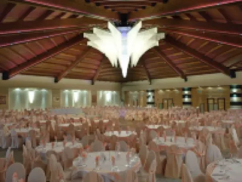 Cavallari Palace Hotel Suites Acharnes otelleri