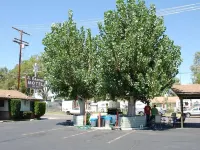 El Rancho Motel فنادق في بيشوب