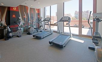 シバ Hotel Indigo Brooklyn(Hotel Indigo Brooklyn) 3つ星 ホテル スイート