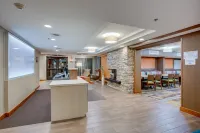 Fairfield Inn Burlington Williston Hotels in Williston