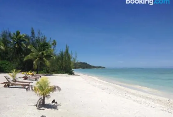 埃圖塔基海邊山林小屋