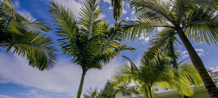 Beach Hotel Juquehy Hotels in Juqueí