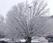 Relax Inn Bel Alton Hotels near Charles County Fairgrounds and Event Center