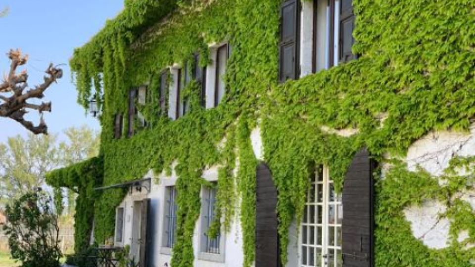 Agriturismo Tra le Vigne