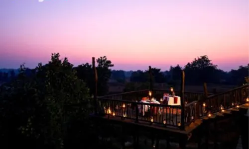 Samode Safari Lodge