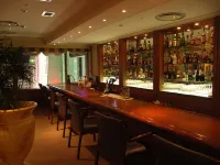 Kawasaki Nikko Hotel - bar