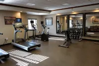 Staybridge Suites IRVINE EAST/LAKE FOREST by IHG - Gym