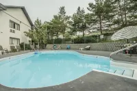 Quality Inn - プール