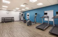 辛普森維爾歡朋酒店 - 健身室/gym room