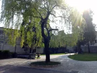 Hotel la Contrada Hotels in Gonte