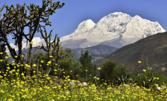 El Jacal Backpacker