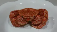 Sea Side Stay Отели в г. Абасири