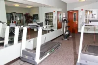 Wingate by Wyndham Roseville/Detroit - gimnasio