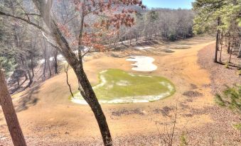 a tree with autumn leaves is standing on a hillside overlooking a grassy field and a small pond at Heaven on Earth