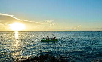 Fiesta Americana Cozumel Dive Resort