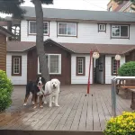 Taean Mamma Mia Pension Các khách sạn gần Mallip'o-haesuyokchang