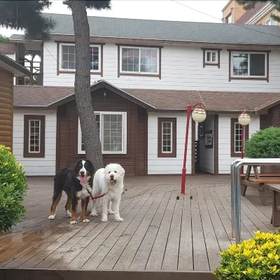 Taean Mamma Mia Pension Các khách sạn gần Vườn quốc gia Taean Haean