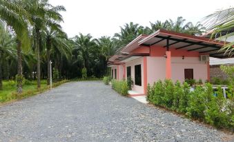 a gravel road leads to a pink house surrounded by palm trees , with a palm tree in the background at S P Resort