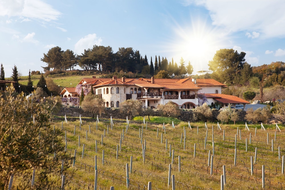 Vinifera Hotel Yedi Bilgeler Vineyards