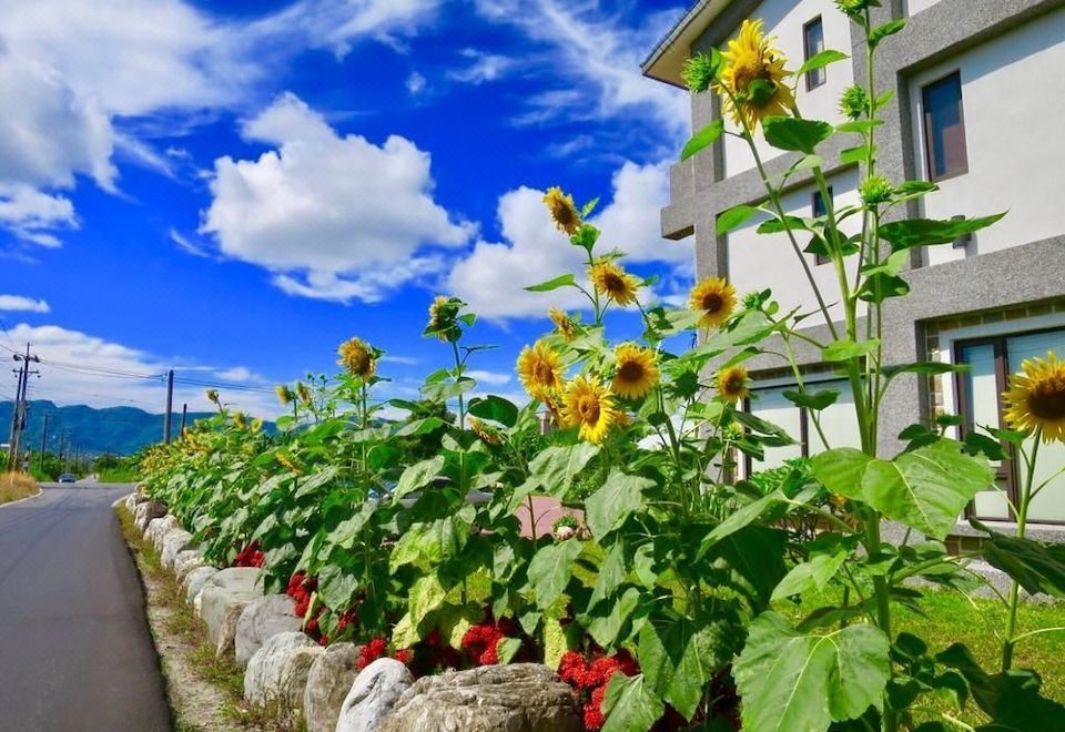 Floral Land B&B Thumbnail 6