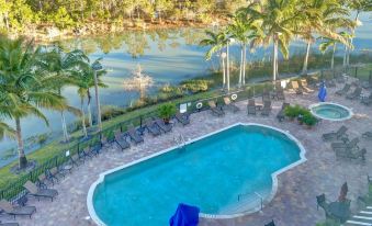 a large swimming pool surrounded by lounge chairs and umbrellas , with a view of a lake and trees in the background at Embassy Suites by Hilton Fort Myers Estero