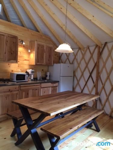 Studio Yurt