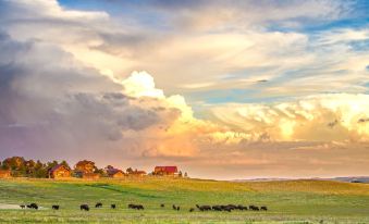 a herd of cows grazing in a field with a cloudy sky and houses in the background at Zion Mountain Ranch