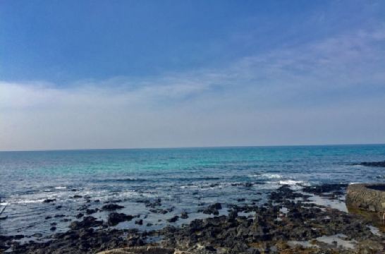 ホテル周辺 パンパス ホテル チェジュの写真