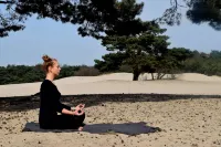 DoubleTree by Hilton Royal Parc Soestduinen - spa