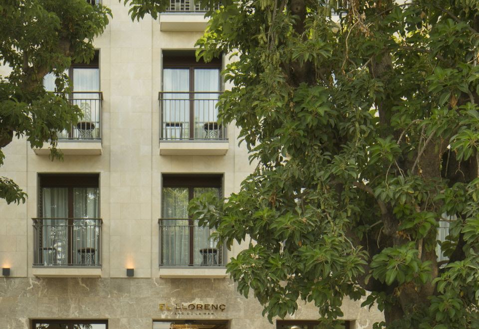 2. 엘 요렌크 파르..