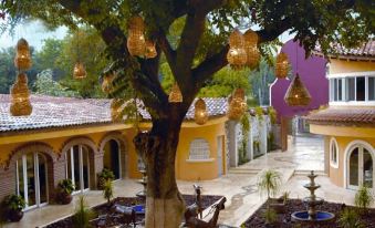 a large tree in the middle of a courtyard , surrounded by a fountain and several potted plants at El Chante Spa Hotel