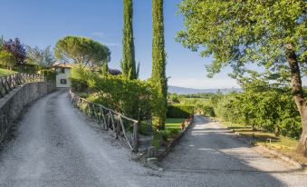 a picturesque rural landscape with a dirt road surrounded by trees and a fence , leading to a building in the distance at Arco