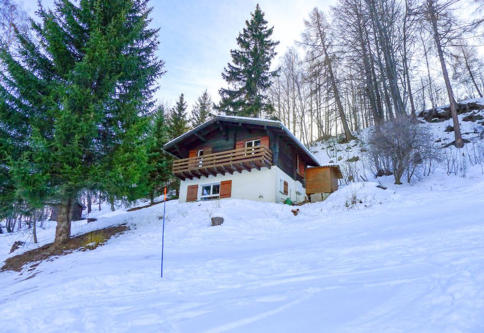 a snow - covered wooden cabin with a red awning is nestled in a mountainous area surrounded by trees at Chalet Ninette