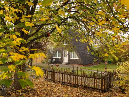 Ferienhaus in Bestwig Mit Privatem Garten