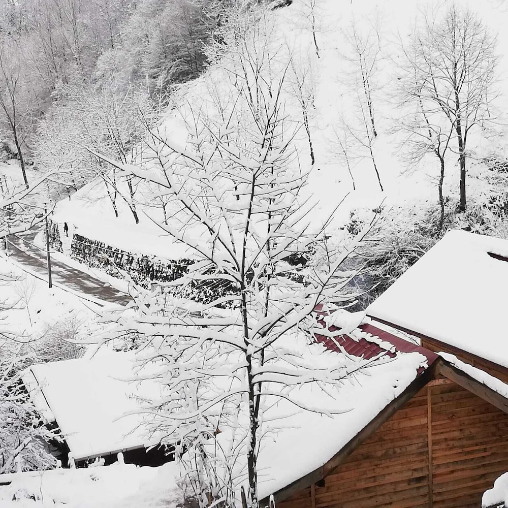 Yesil DUS Vadisi Bungalow Restoran