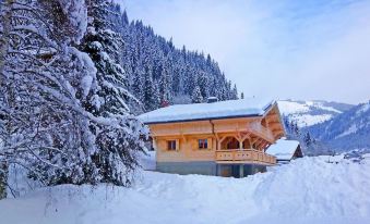 Supreme Chalet in in Chatel French Alps Near Ski Area