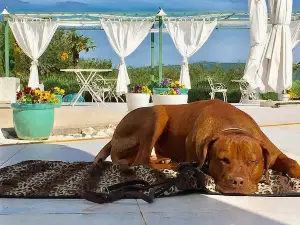 Villa Stefanija Small Boutique Hotel&Restaurant