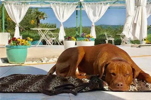 Villa Stefanija Small Boutique Hotel&Restaurant