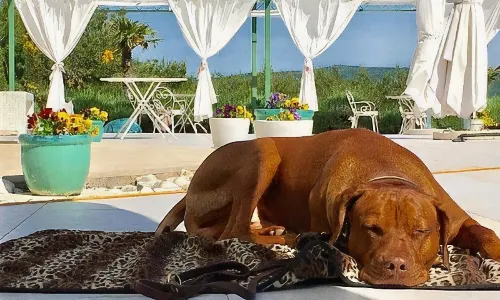 史特法尼耶別墅