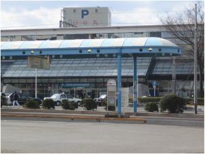 Imabari Station Hotel