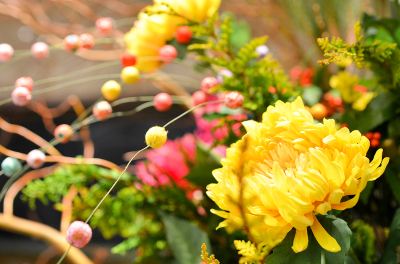 その他 ホテルメトロポリタンエドモントの写真