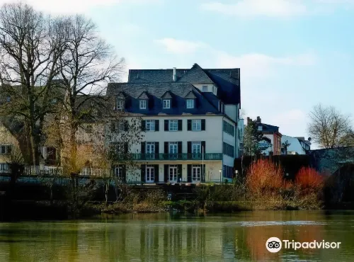 Hotel Nassauer Hof Hotels in Hadamar