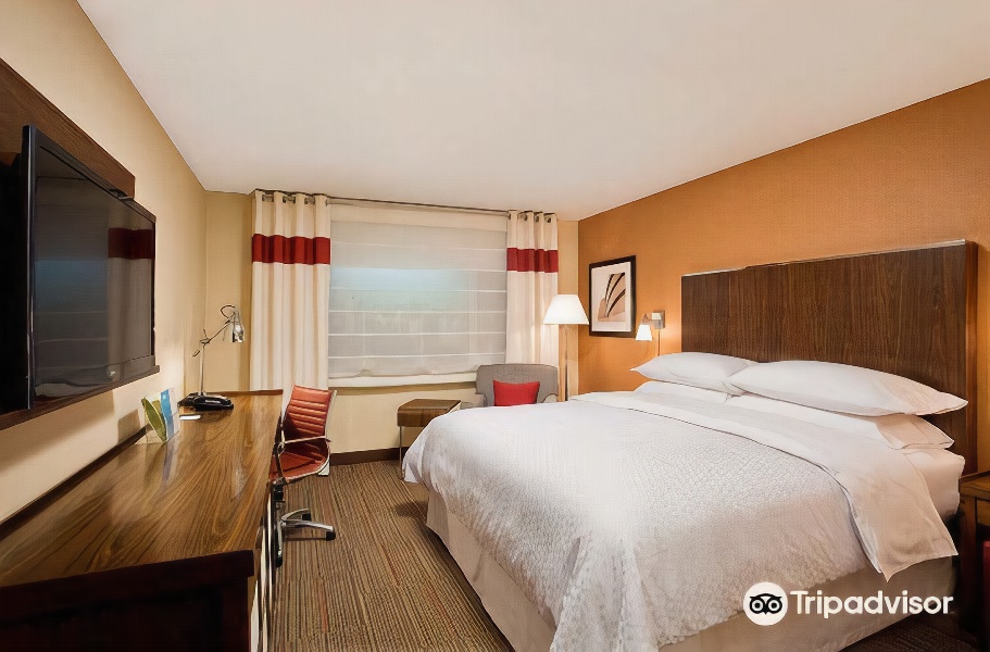 Four Points by Sheraton - Saginaw