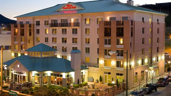 Hilton Garden Inn Chattanooga Downtown