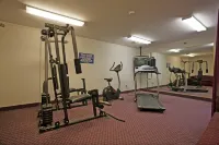 Quality Inn & Suites North Lima - Boardman - Gym