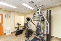 Quality Inn & Suites MidAmerica Industrial Park Area - gimnasio